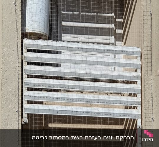 רשת למניעת כניסת יונים על מרפסת